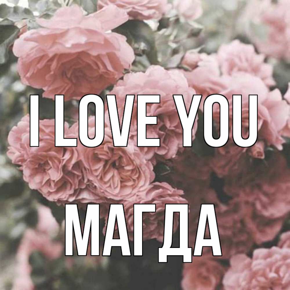 Greetings card с именем, Магда I love you розы 3 Greetings with text for free download 