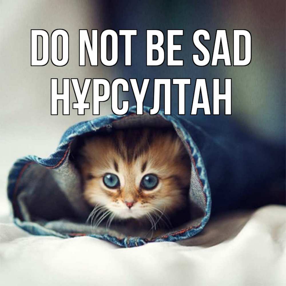 Greetings card с именем, НҰРСҮЛТАН Do not be sad кот в одежде Greetings with text for free download 