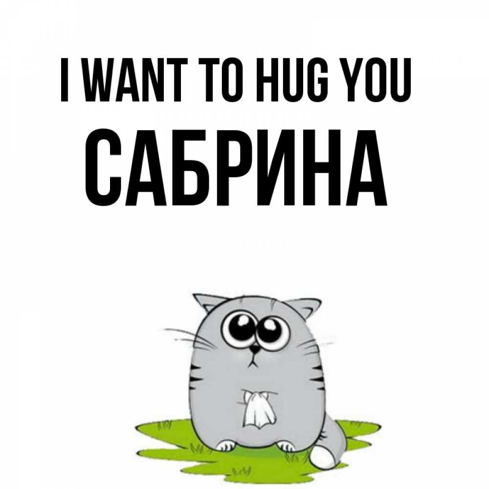 Greetings card с именем, Сабрина I want to hug you котик теребит платочек сидя на травке Greetings with text for free download 