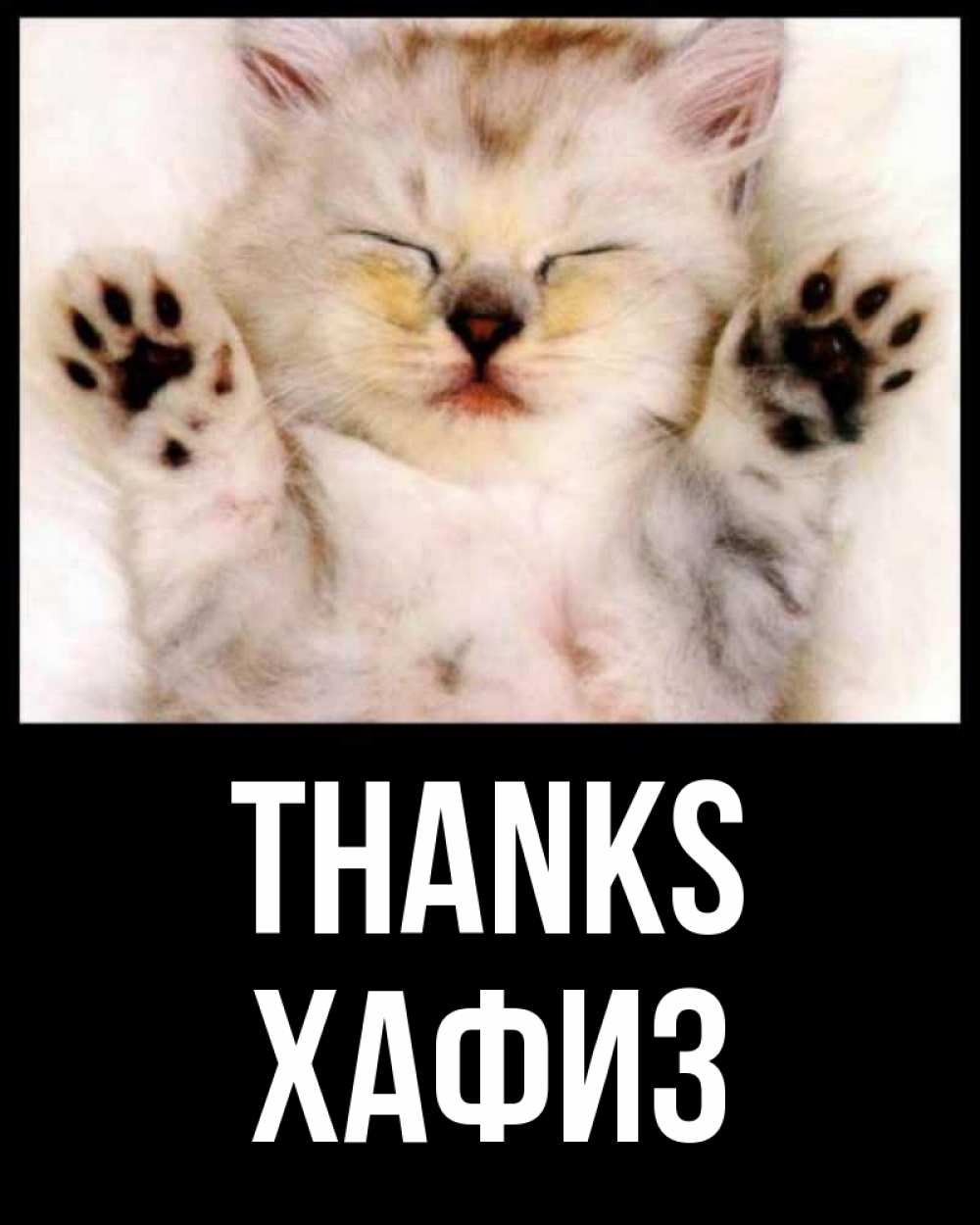 Greetings card с именем, ХАФИЗ Thanks маленький котенок Greetings with text for free download 
