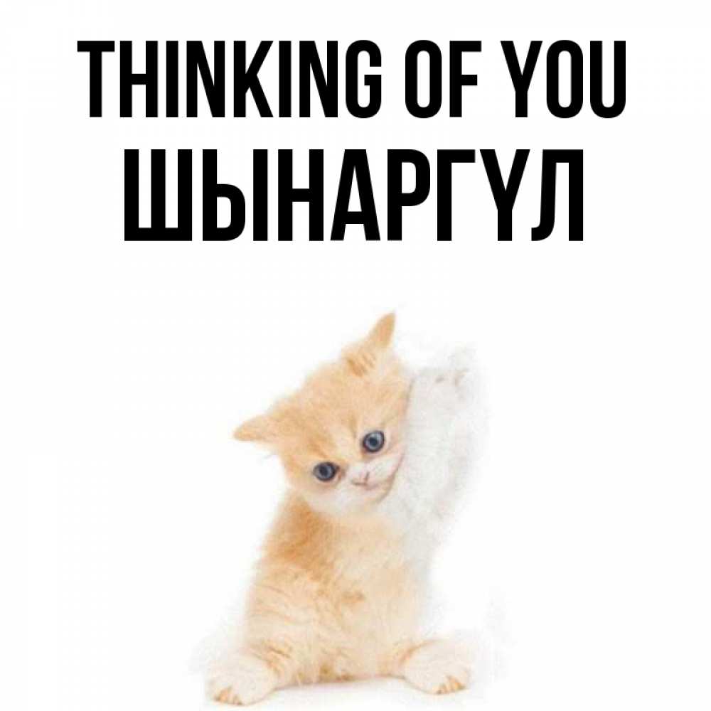 Greetings card с именем, ШЫНАРГҮЛ Thinking of you зверушки и милота Greetings with text for free download 