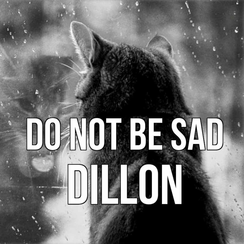 Greetings card с именем, Dillon Do not be sad отражение кота 1 Greetings with text for free download 