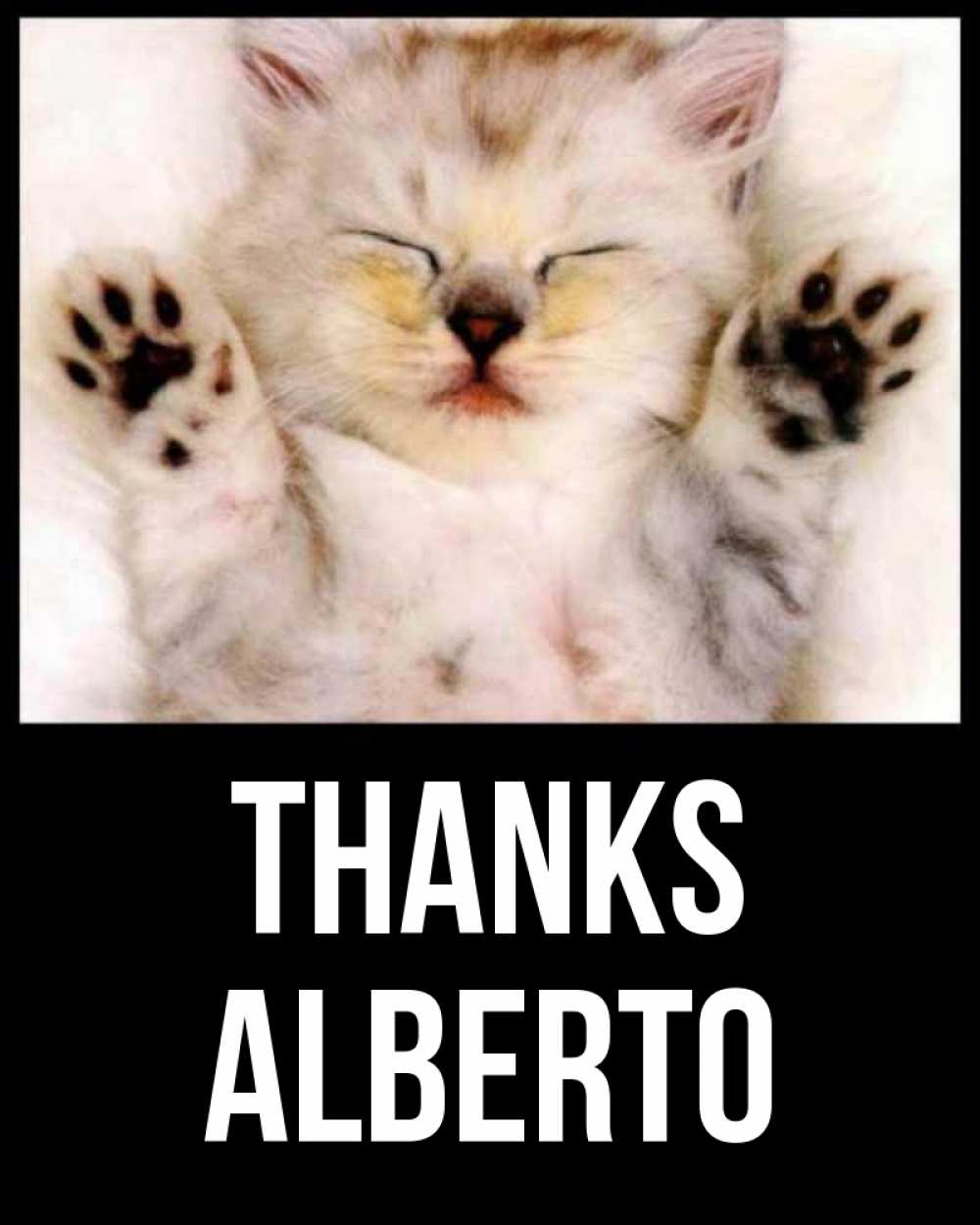Greetings card с именем, Alberto Thanks маленький котенок Greetings with text for free download 