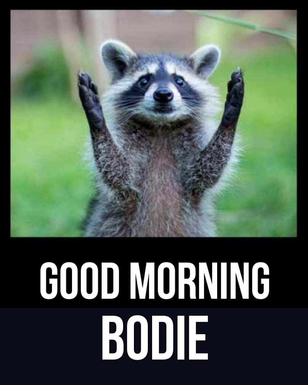 Greetings card с именем, Bodie Good morning хорошее настроение утречком Greetings with text for free download 