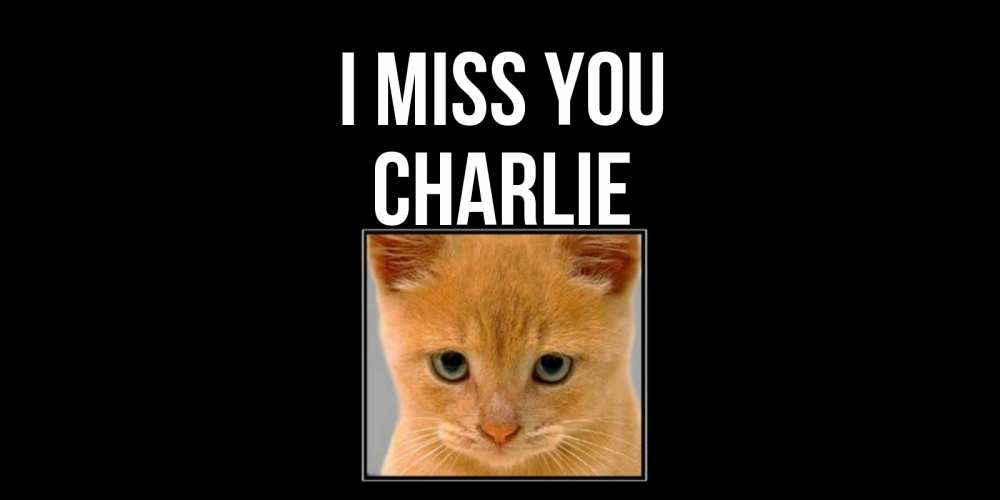 Greetings card с именем, Charlie I miss you открытки рыжий котенок скучает по тебе Greetings with text for free download 