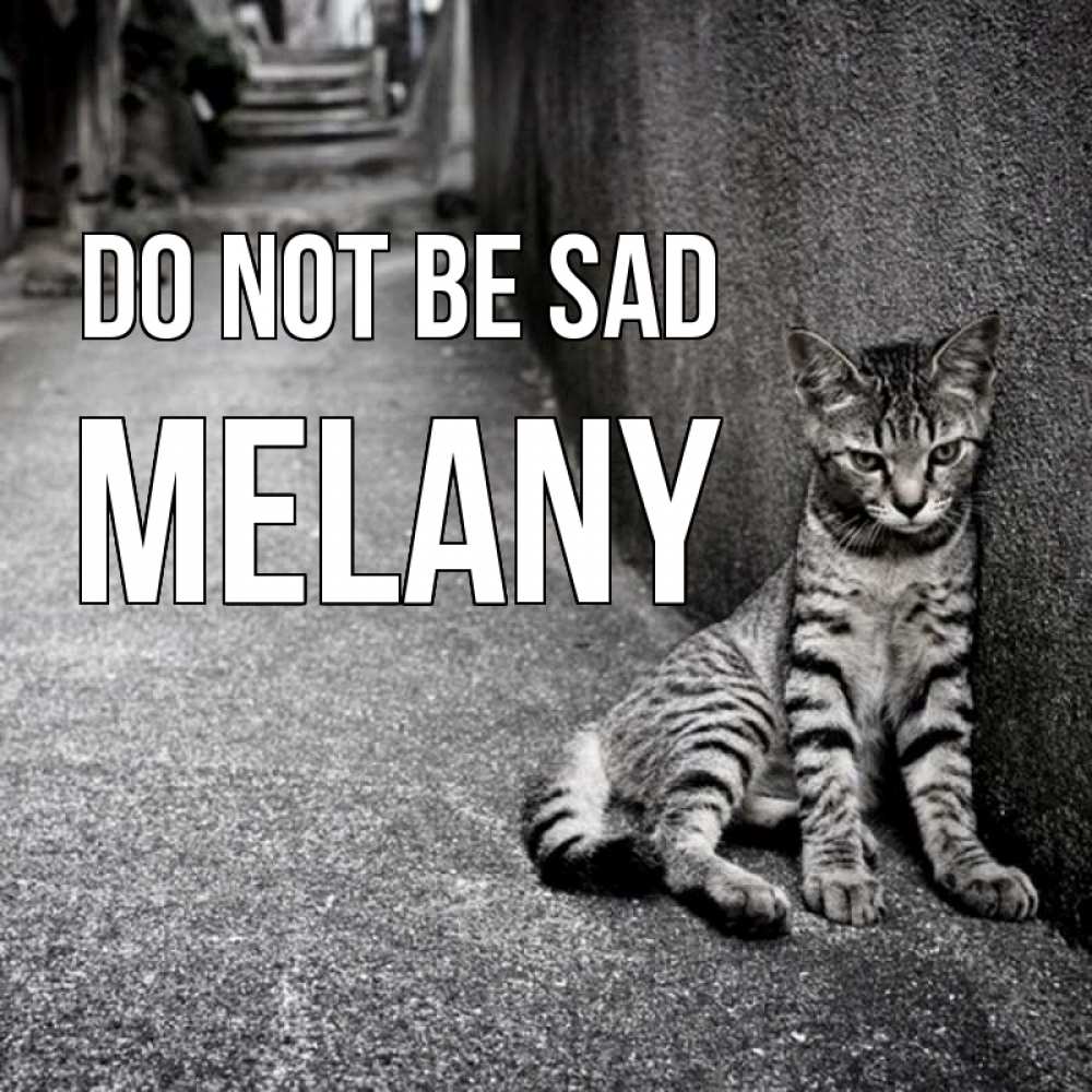 Greetings card с именем, Melany Do not be sad скучающий котик Greetings with text for free download 