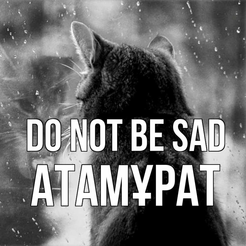 Greetings card с именем, Атамұрат Do not be sad отражение кота 1 Greetings with text for free download 