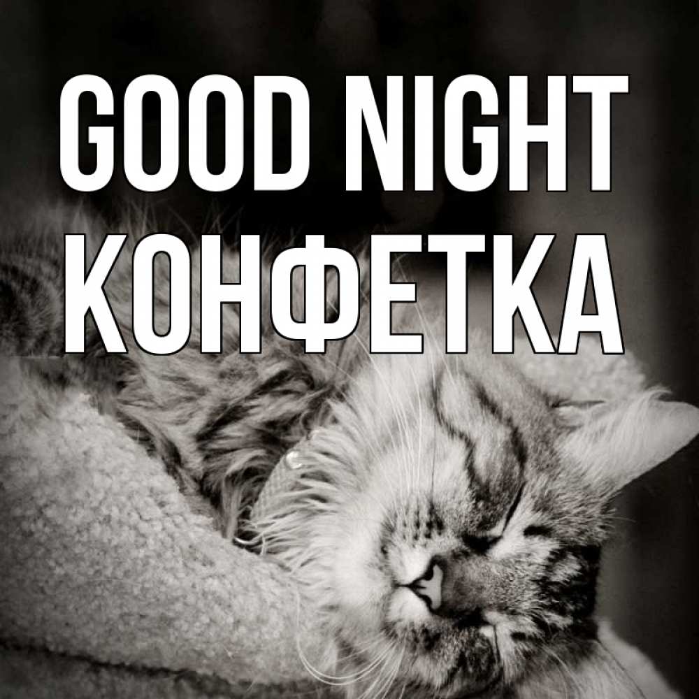 Greetings card с именем, Конфетка Good night котярик пушистый Greetings with text for free download 