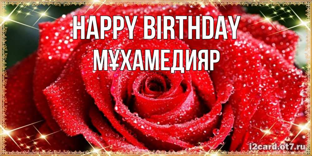 Greetings card с именем, МҰХАМЕДИЯР Happy Birthday роса и роза. открытка с красивой розой Greetings with text for free download 