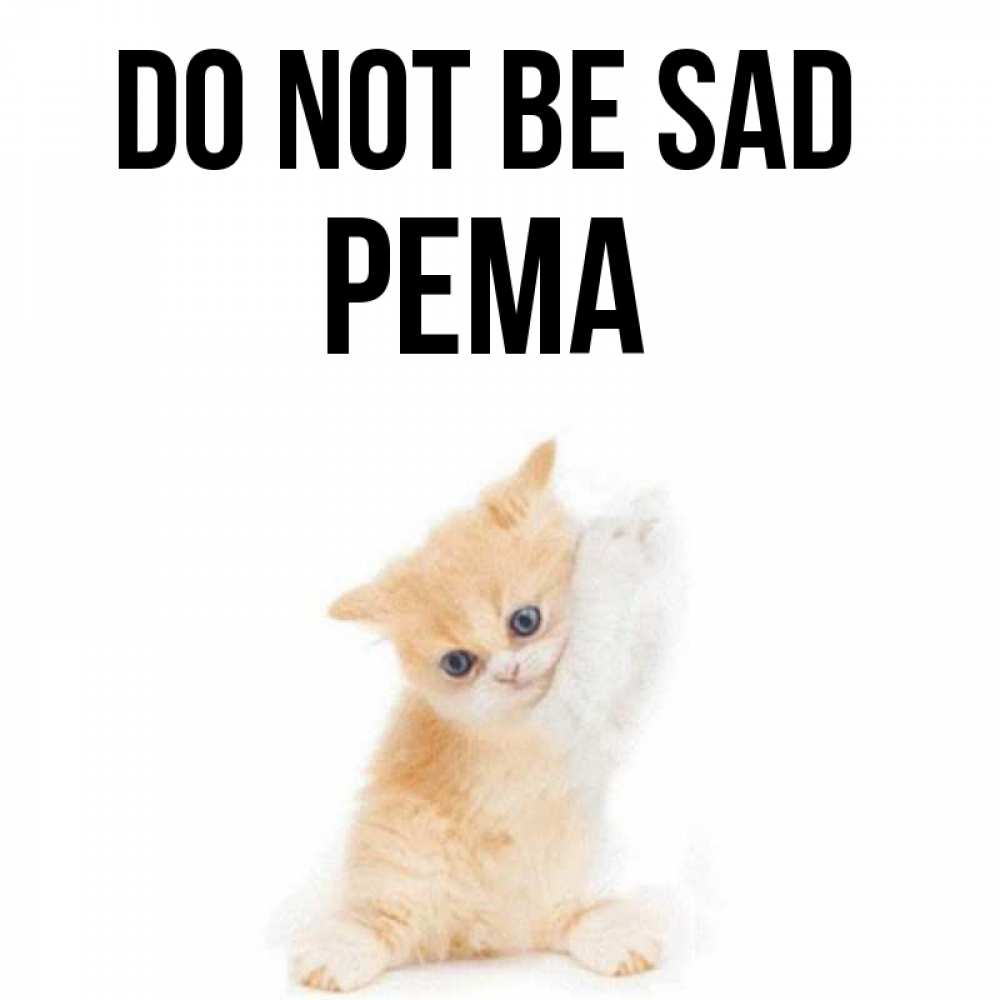 Greetings card с именем, Рема Do not be sad просящий кот Greetings with text for free download 
