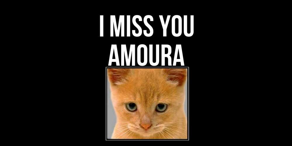 Greetings card с именем, Amoura I miss you открытки рыжий котенок скучает по тебе Greetings with text for free download 