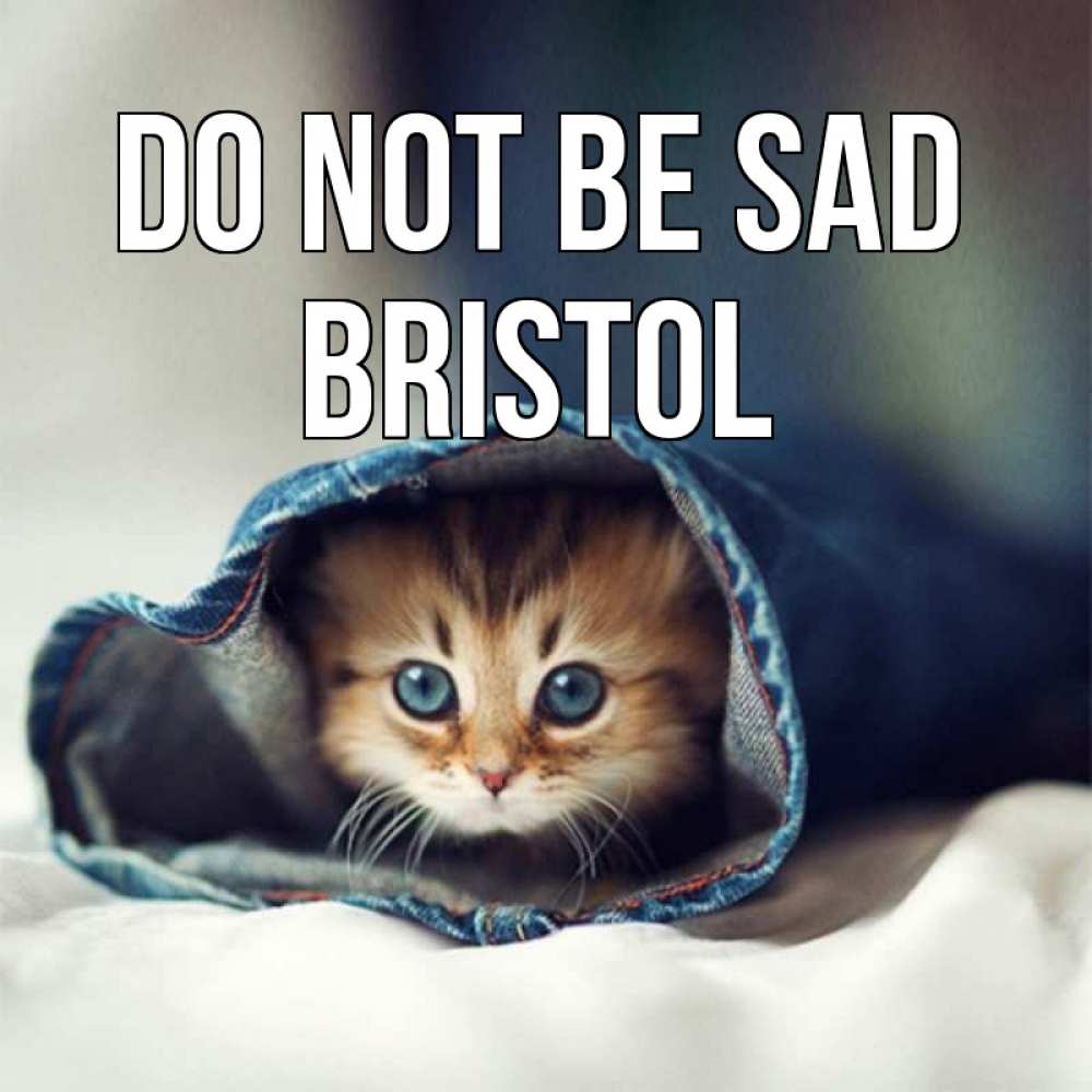 Greetings card с именем, Bristol Do not be sad кот в одежде Greetings with text for free download 