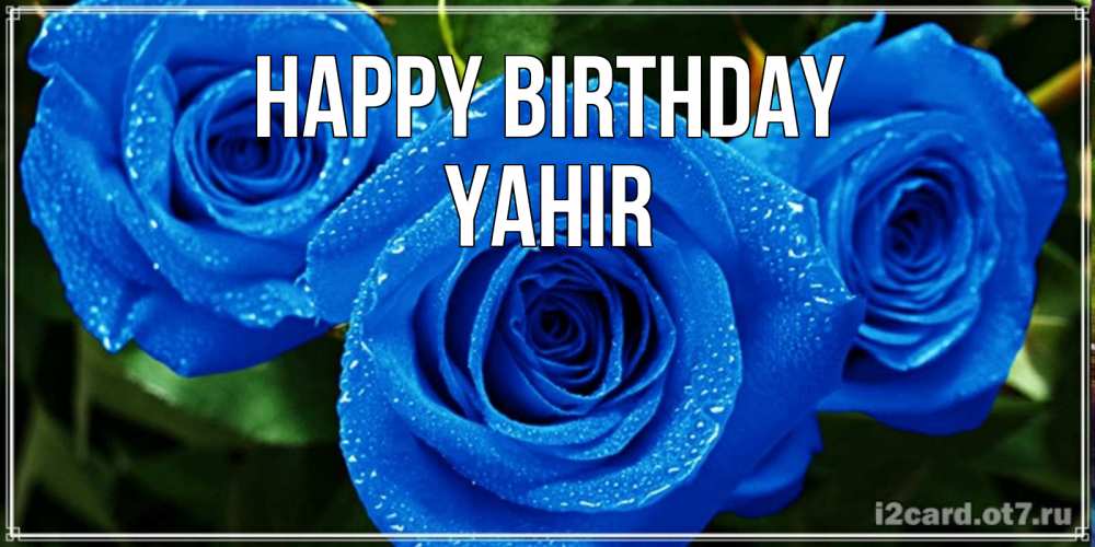 Greetings card с именем, Yahir Happy Birthday розы с синим цветом Greetings with text for free download 