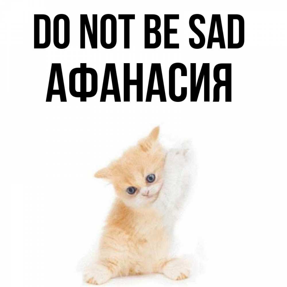 Greetings card с именем, Афанасия Do not be sad просящий кот Greetings with text for free download 