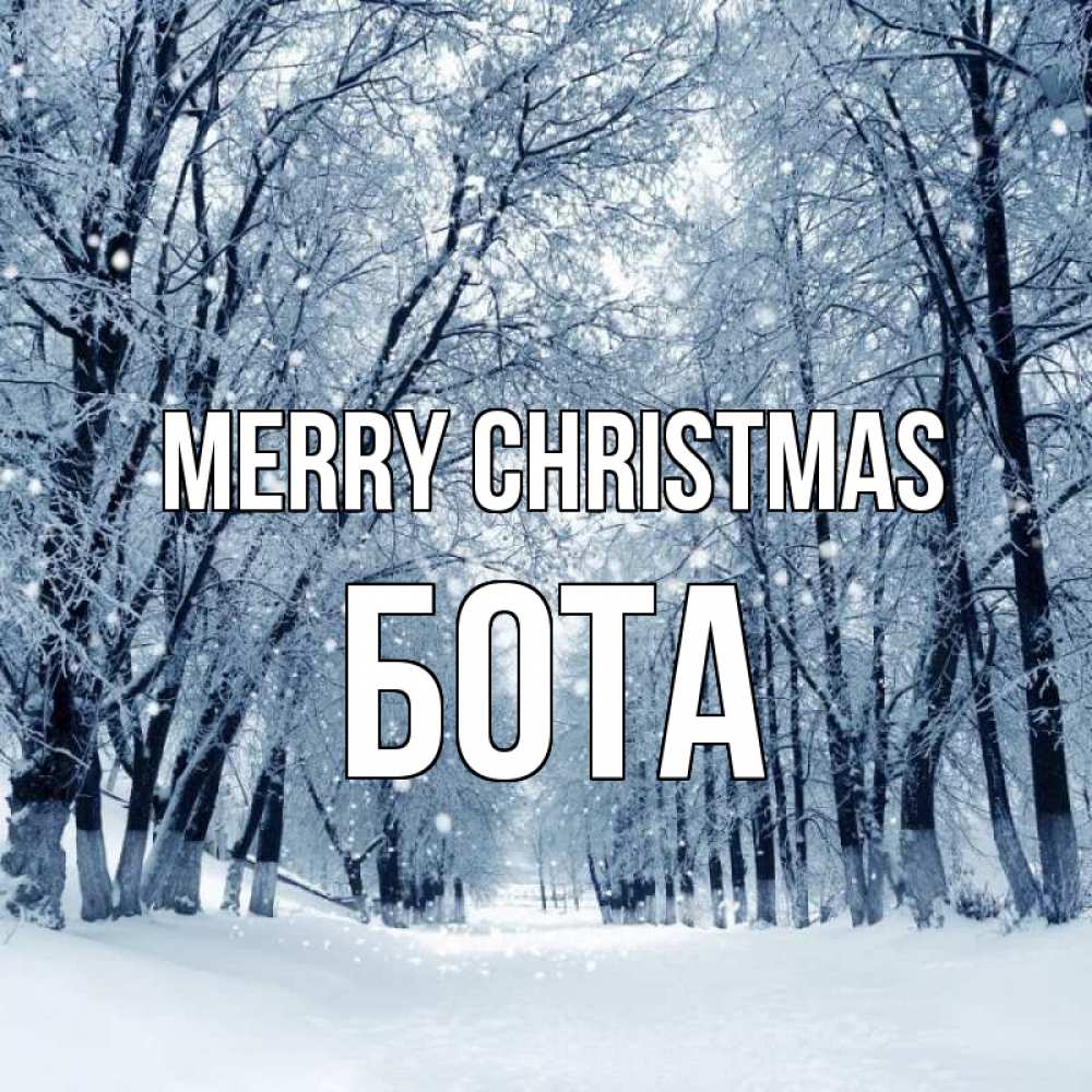 Greetings card с именем, БОТА Merry Christmas снег, лес, парк Greetings with text for free download 