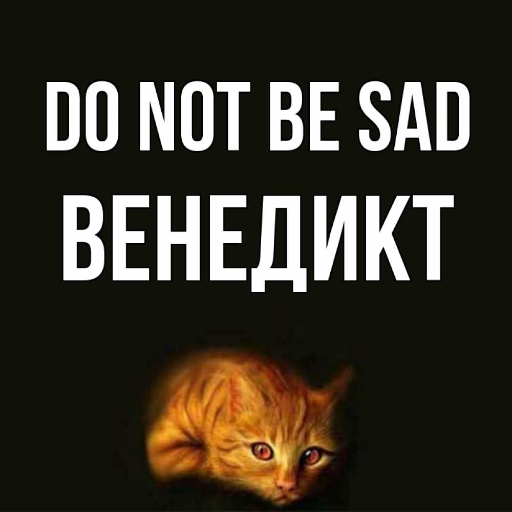 Greetings card с именем, Венедикт Do not be sad лежащий кот в темноте Greetings with text for free download 