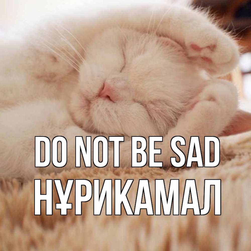 Greetings card с именем, НҰРИКАМАЛ Do not be sad белый кот Greetings with text for free download 