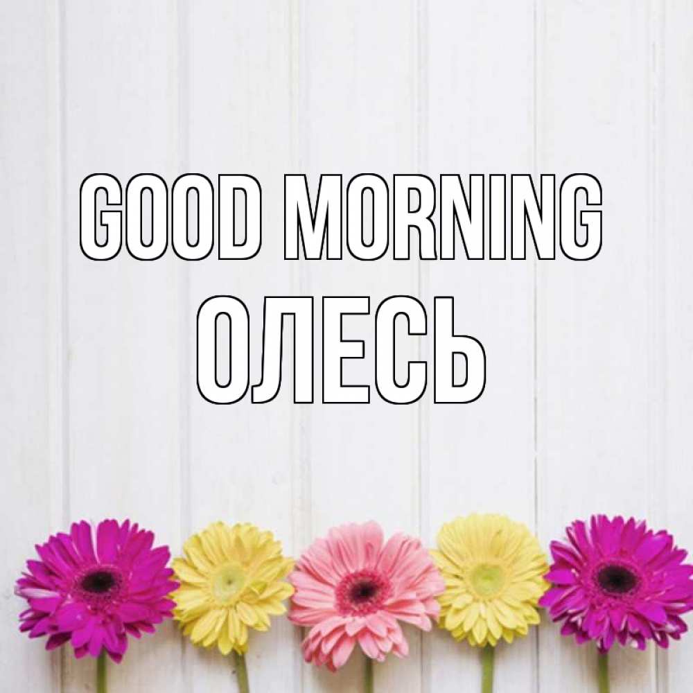 Greetings card с именем, Олесь Good morning красный желтый и розовый цветок Greetings with text for free download 