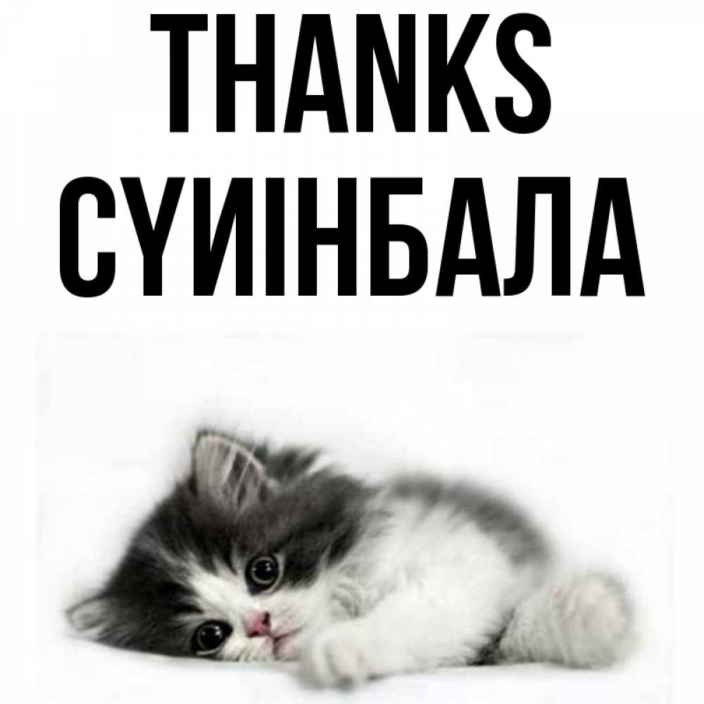 Greetings card с именем, СҮИІНБАЛА Thanks черный и белый кот Greetings with text for free download 