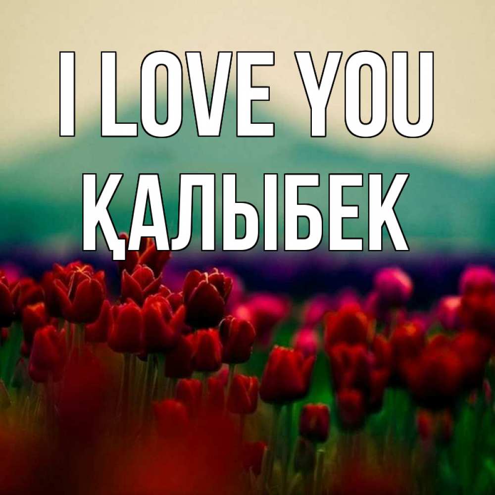 Greetings card с именем, Қалыбек I love you тюльпаны 4 Greetings with text for free download 