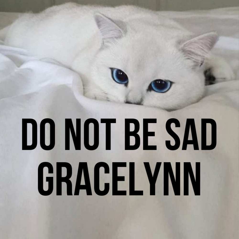 Greetings card с именем, Gracelynn Do not be sad Голубоглазая кошка Greetings with text for free download 