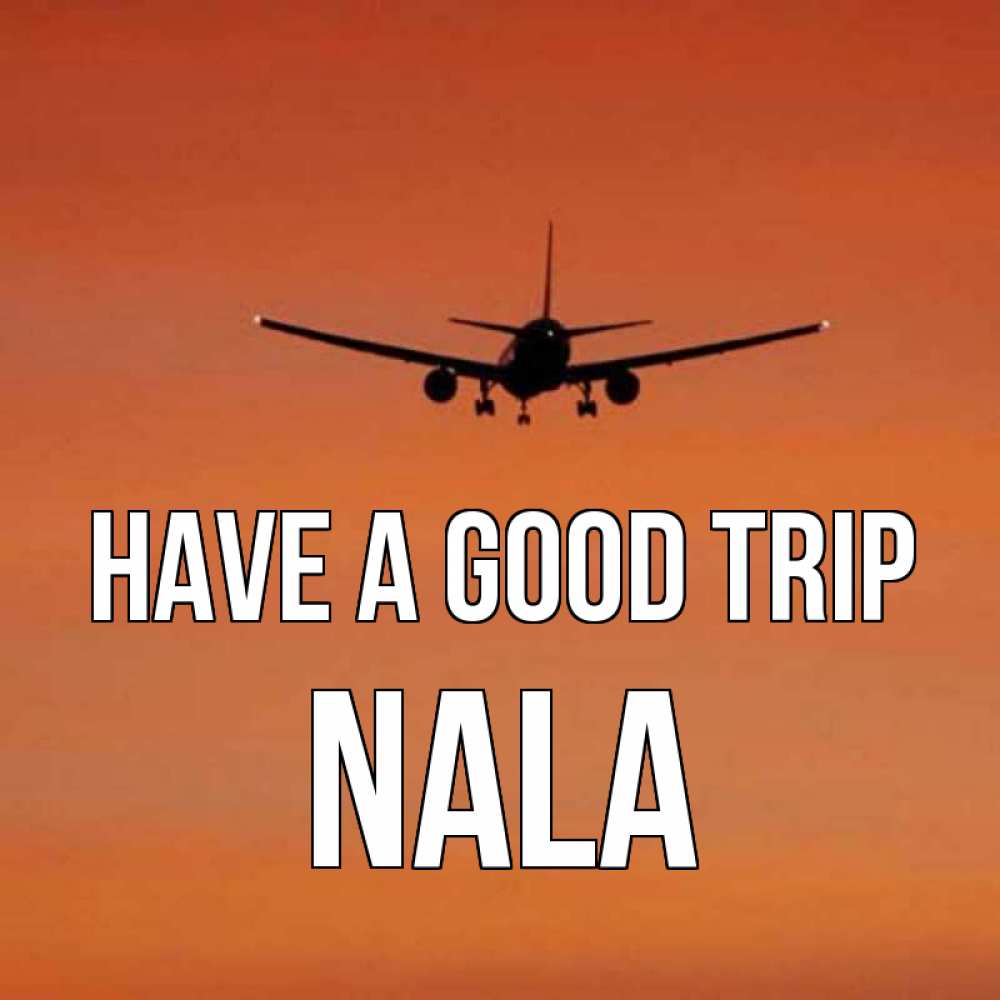 Greetings card с именем, Nala Have a good trip силуэт самолета Greetings with text for free download 