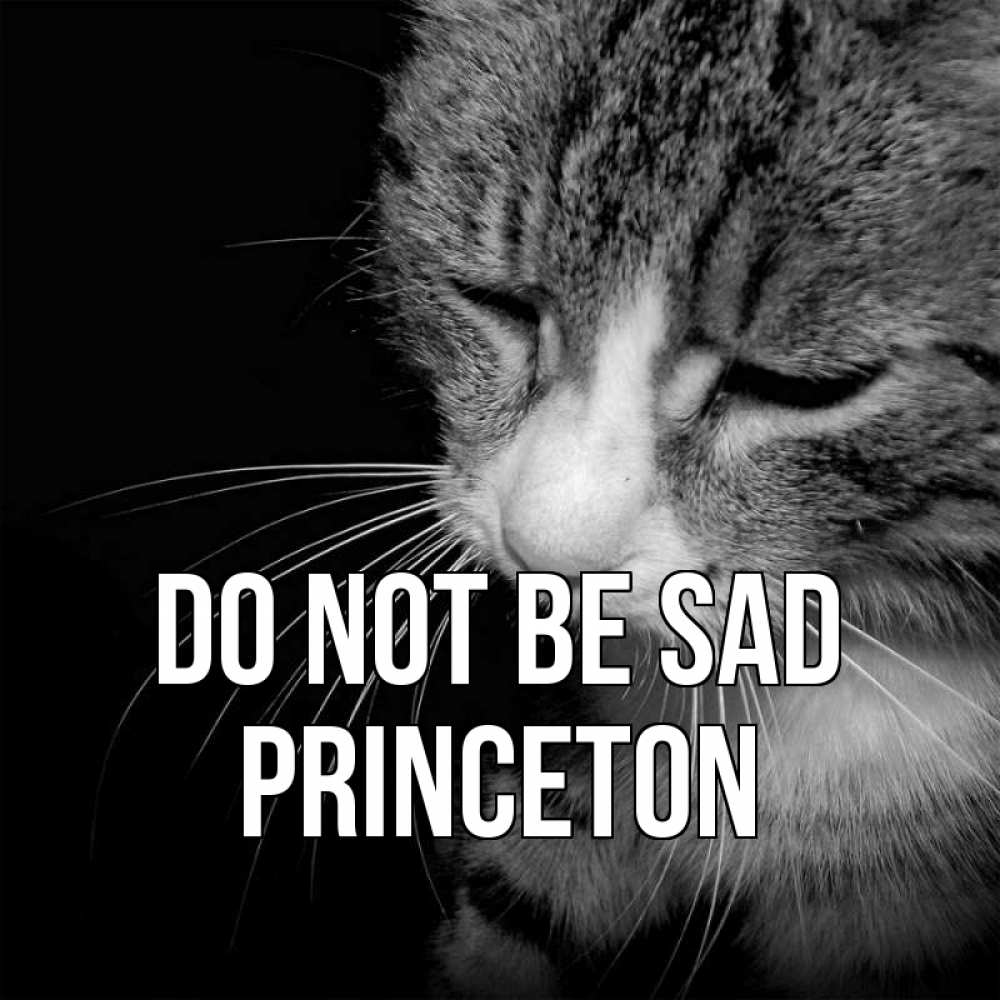 Greetings card с именем, Princeton Do not be sad грустный котик Greetings with text for free download 