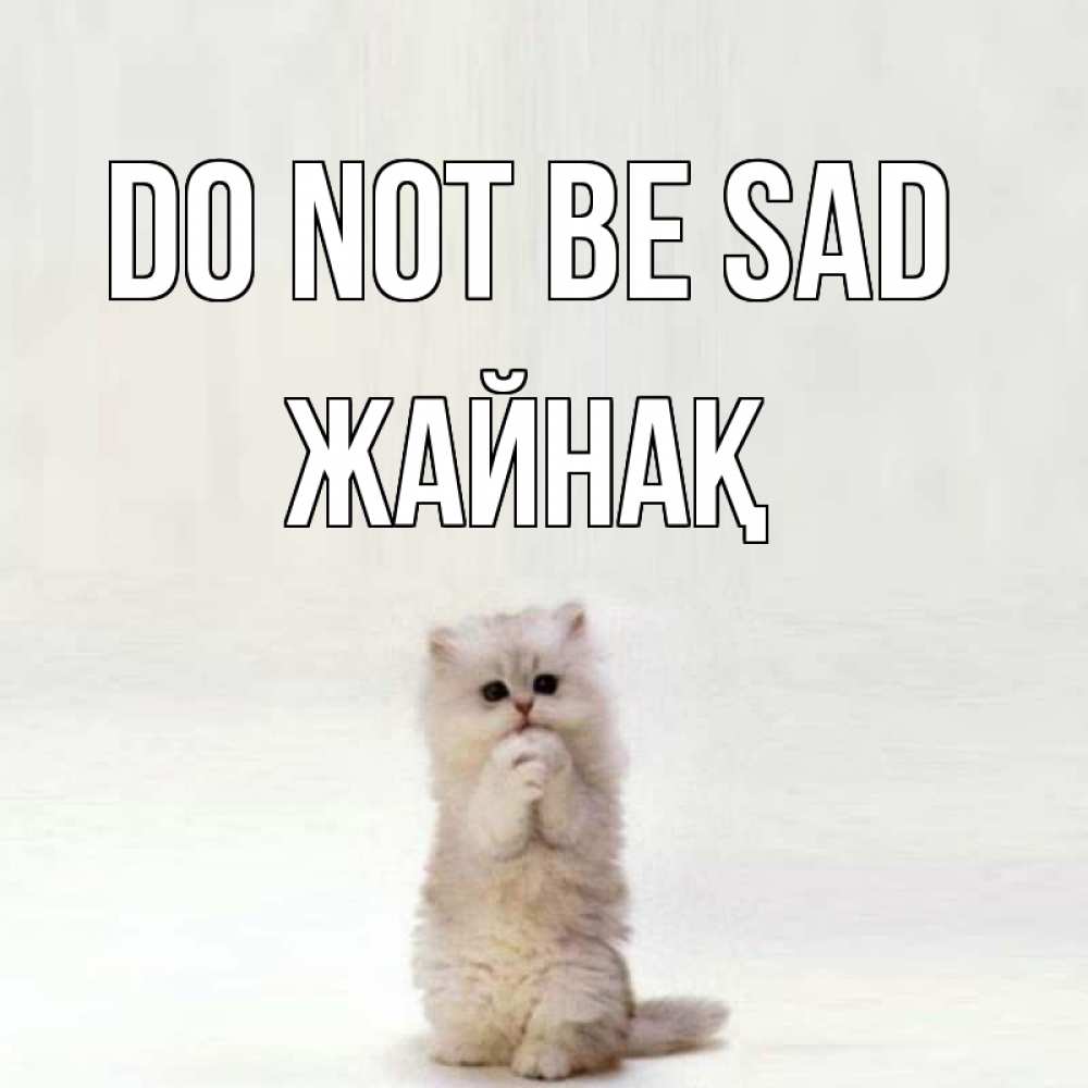 Greetings card с именем, Жайнақ Do not be sad грустный кот Greetings with text for free download 