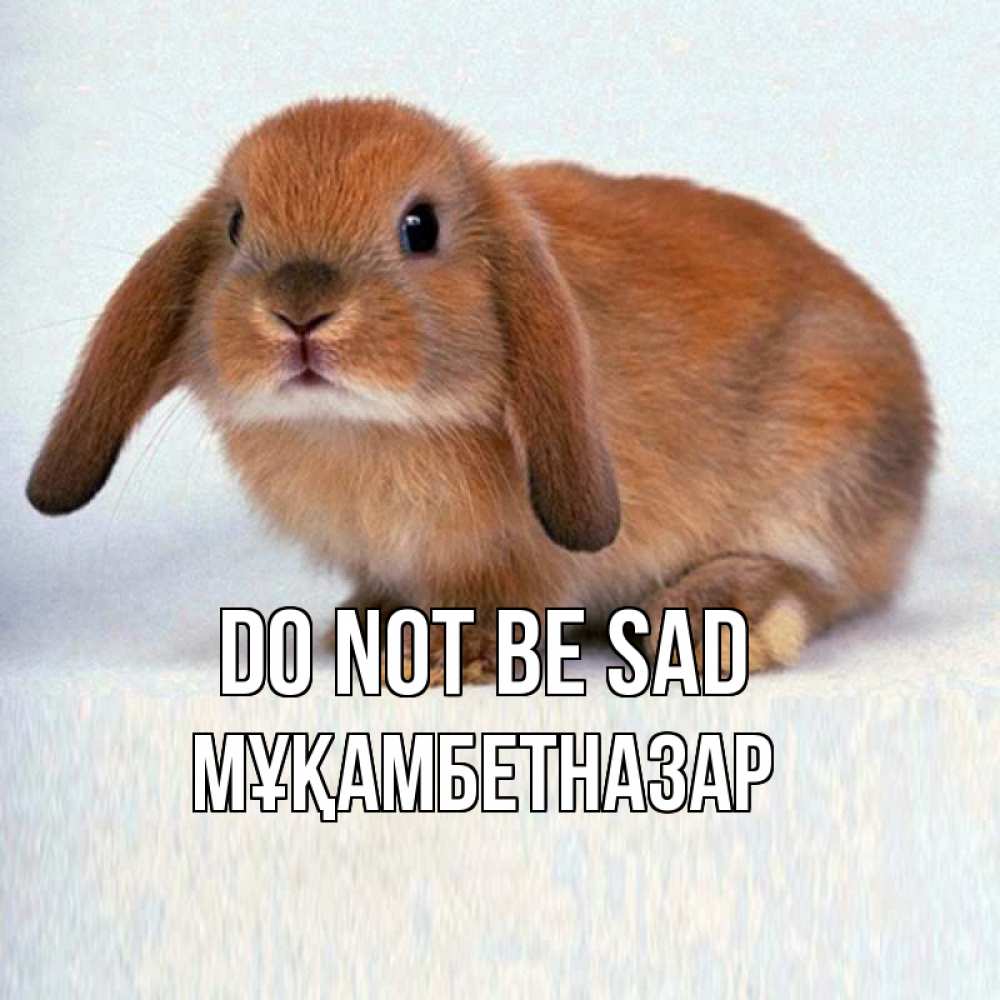 Greetings card с именем, Мұқамбетназар Do not be sad вислоухий рыжий кролик Greetings with text for free download 