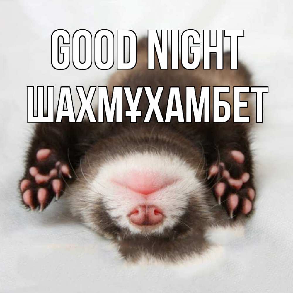 Greetings card с именем, ШАХМҰХАМБЕТ Good night зверек Greetings with text for free download 