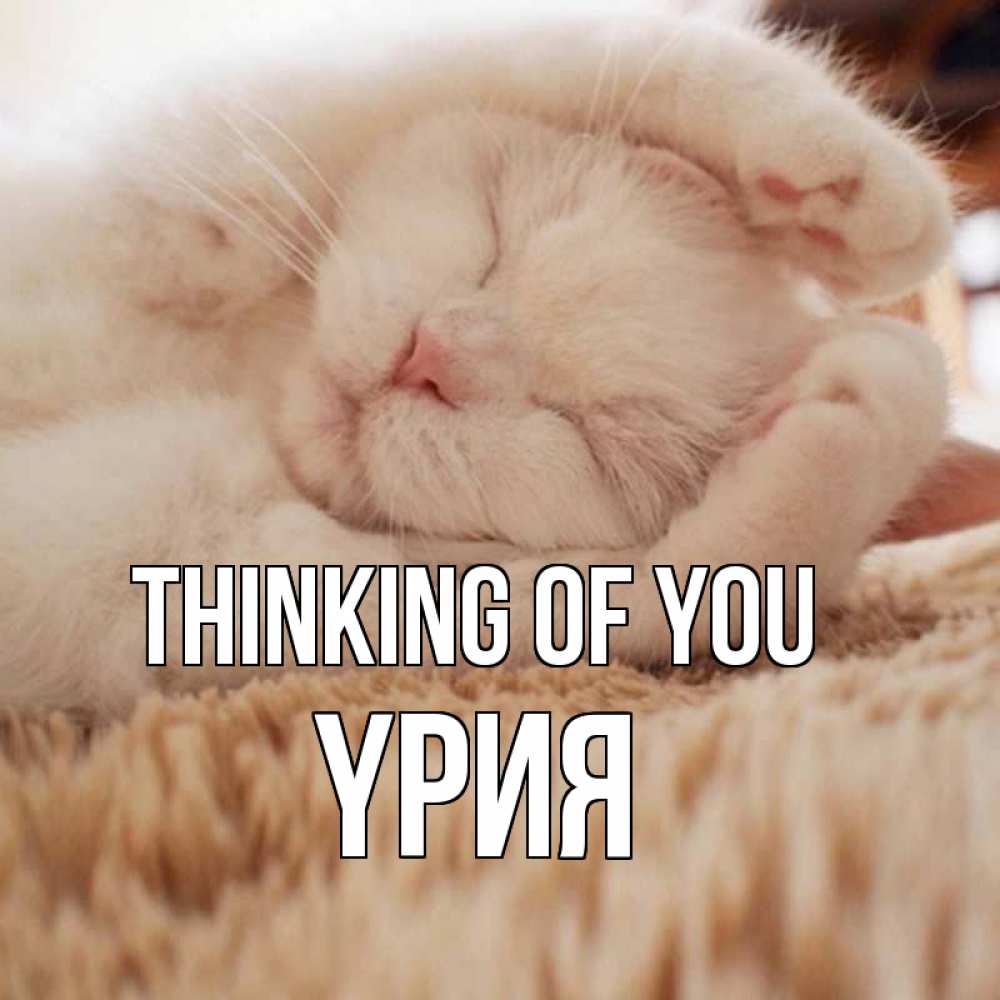 Greetings card с именем, ҮРИЯ Thinking of you для любимой девушки милота Greetings with text for free download 