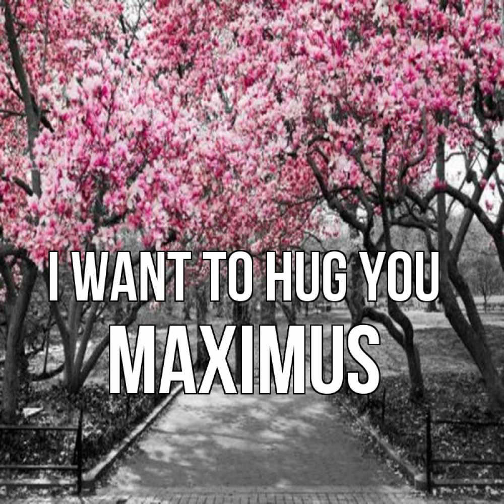 Greetings card с именем, Maximus I want to hug you обработанное фото Greetings with text for free download 