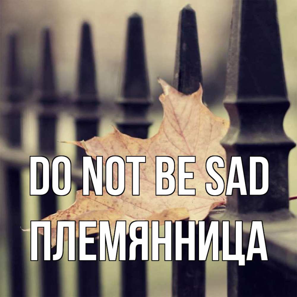 Greetings card с именем, Племянница Do not be sad лист клена Greetings with text for free download 