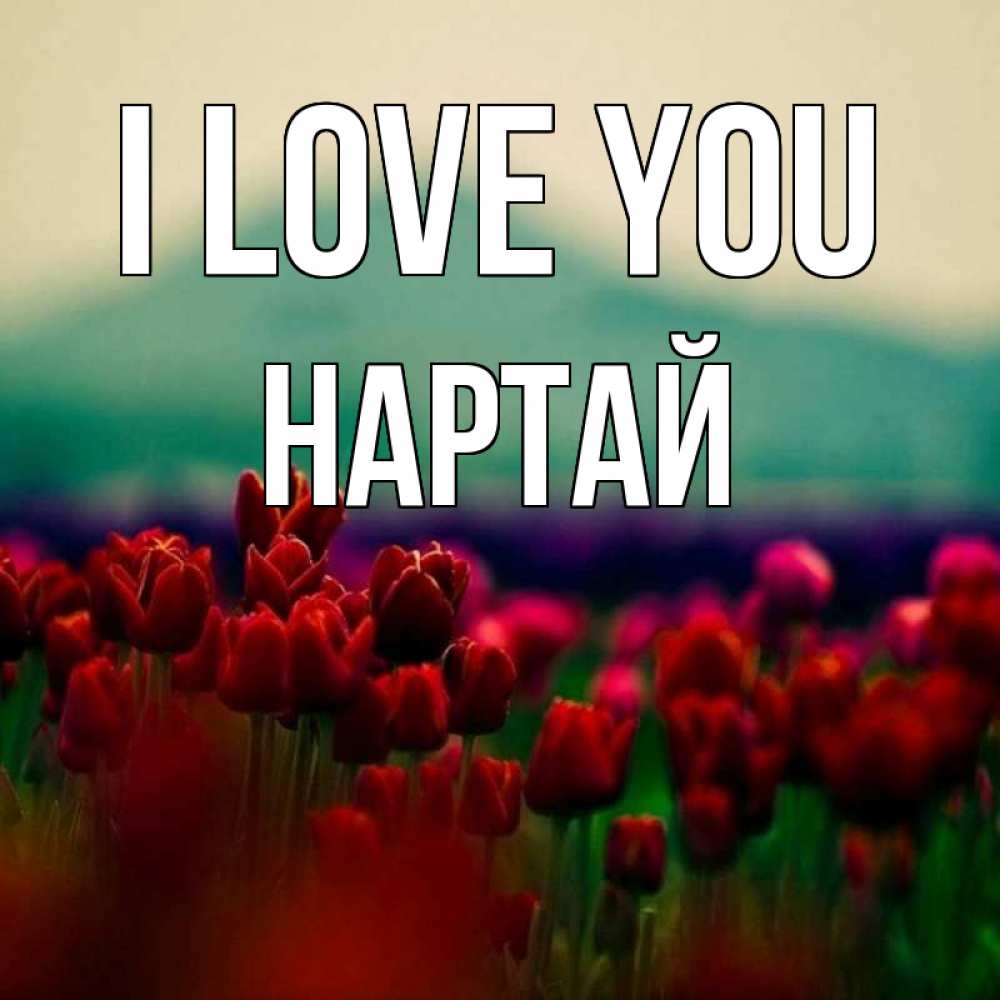 Greetings card с именем, Нартай I love you тюльпаны 4 Greetings with text for free download 