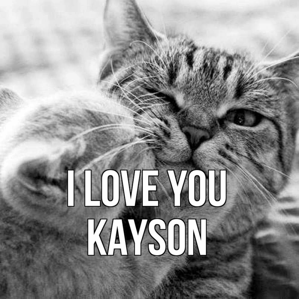 Greetings card с именем, Kayson I love you коты Greetings with text for free download 
