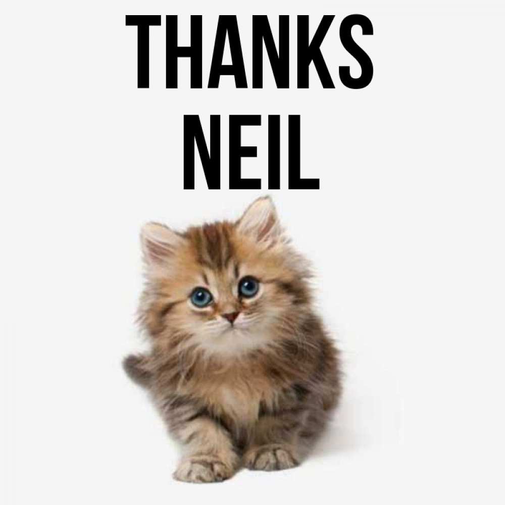 Greetings card с именем, Neil Thanks пушистый котик Greetings with text for free download 