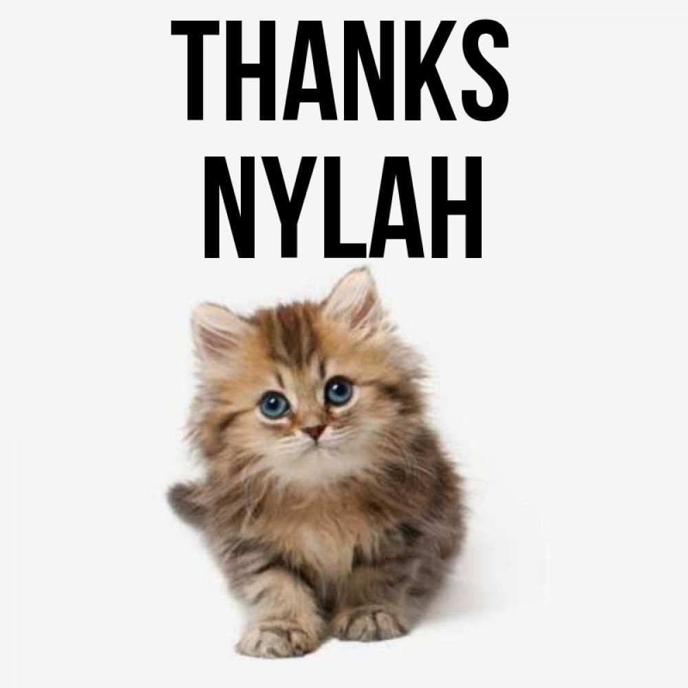 Greetings card с именем, Nylah Thanks пушистый котик Greetings with text for free download 