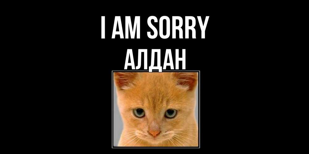 Greetings card с именем, Алдан I am sorry рыжий грустный кот просит прощения Greetings with text for free download 