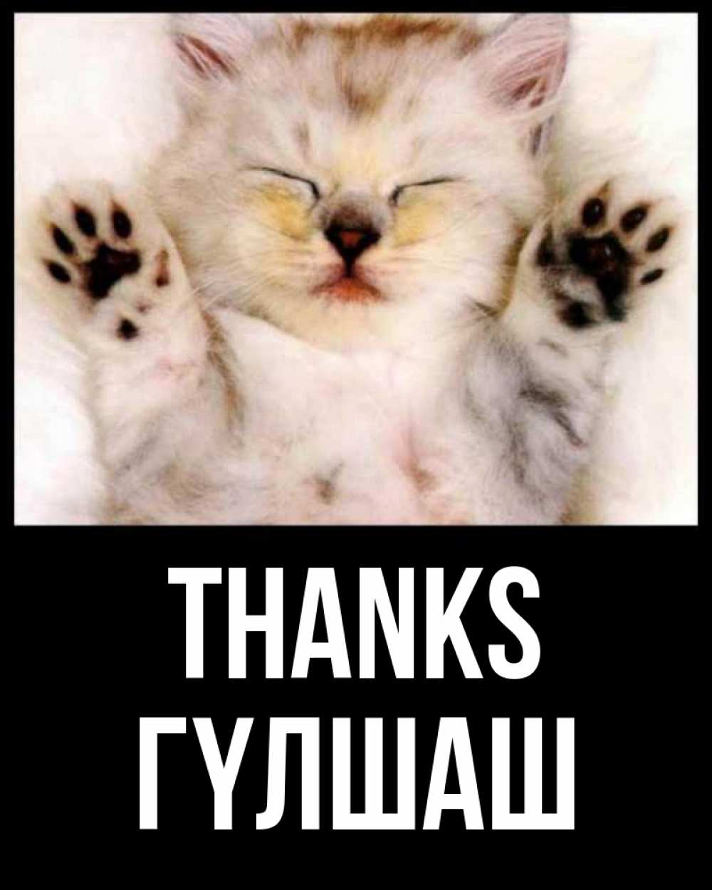 Greetings card с именем, ГҮЛШАШ Thanks маленький котенок Greetings with text for free download 