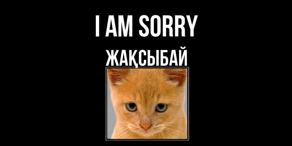 Greetings card с именем, Жақсыбай I am sorry рыжий грустный кот просит прощения Greetings with text for free download 