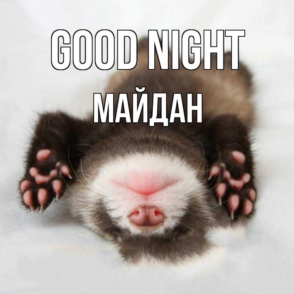Greetings card с именем, МАЙДАН Good night зверек Greetings with text for free download 
