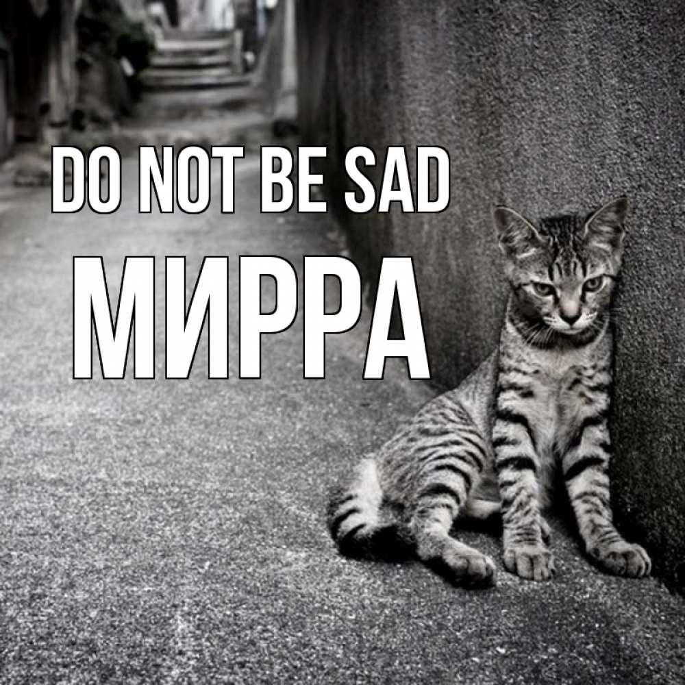 Greetings card с именем, Мирра Do not be sad скучающий котик Greetings with text for free download 