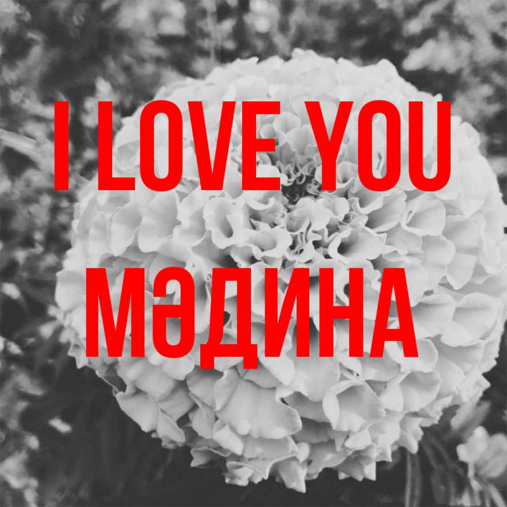 Greetings card с именем, МӘДИНА I love you подпись Greetings with text for free download 