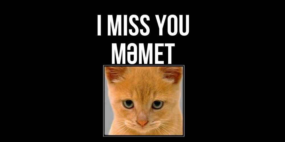 Greetings card с именем, Мәмет I miss you открытки рыжий котенок скучает по тебе Greetings with text for free download 