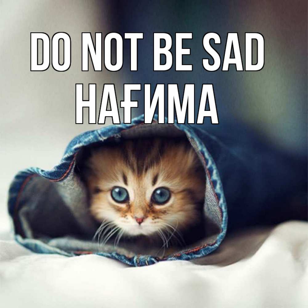 Greetings card с именем, НАҒИМА Do not be sad рыжик котик Greetings with text for free download 