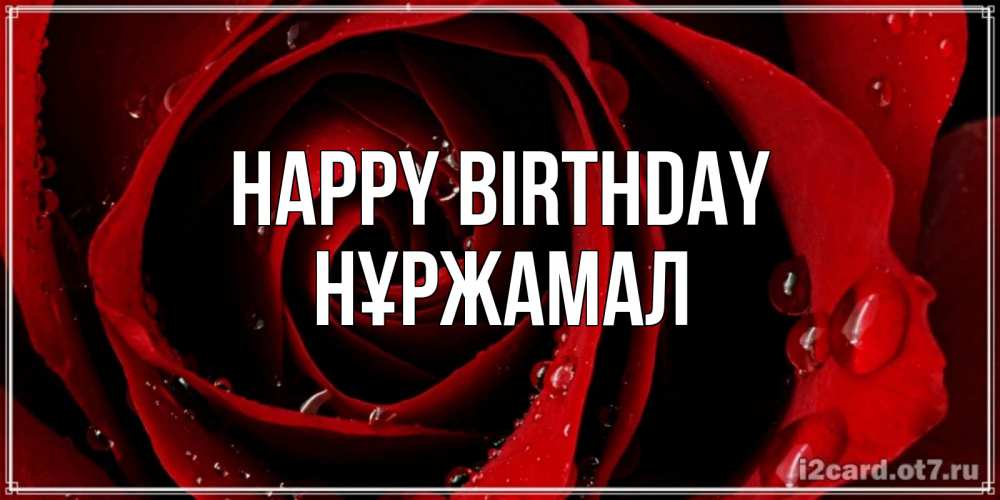 Greetings card с именем, НҰРЖАМАЛ Happy Birthday крупная бордовая роза Greetings with text for free download 