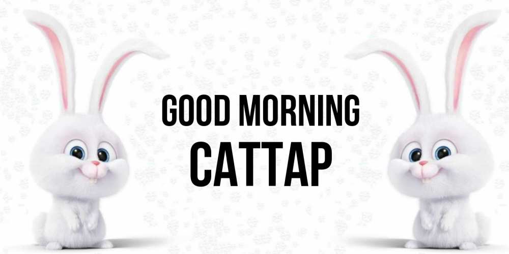 Greetings card с именем, САТТАР Good morning кролики с длинными ушками Greetings with text for free download 