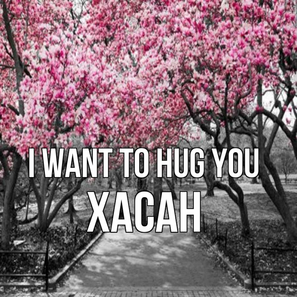 Greetings card с именем, ХАСАН I want to hug you обработанное фото Greetings with text for free download 