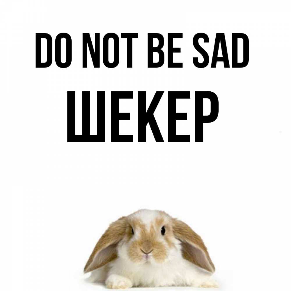 Greetings card с именем, ШЕКЕР Do not be sad коричнево белый заяц с большими ушками Greetings with text for free download 