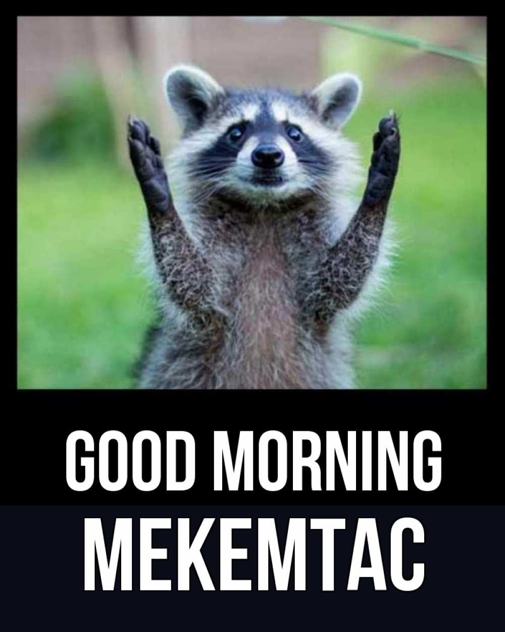 Greetings card с именем, МЕКЕМТАС Good morning хорошее настроение утречком Greetings with text for free download 